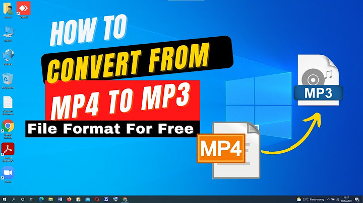 Top light sorfware 10 convert mp4 to mp3 năm 2024