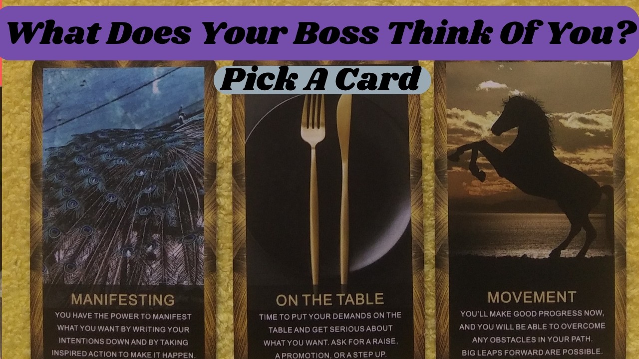 🤔What Does Your Boss Think Of You? Taro Pick A Card Reading #whatsthegossip #gossiplovers #pickacard