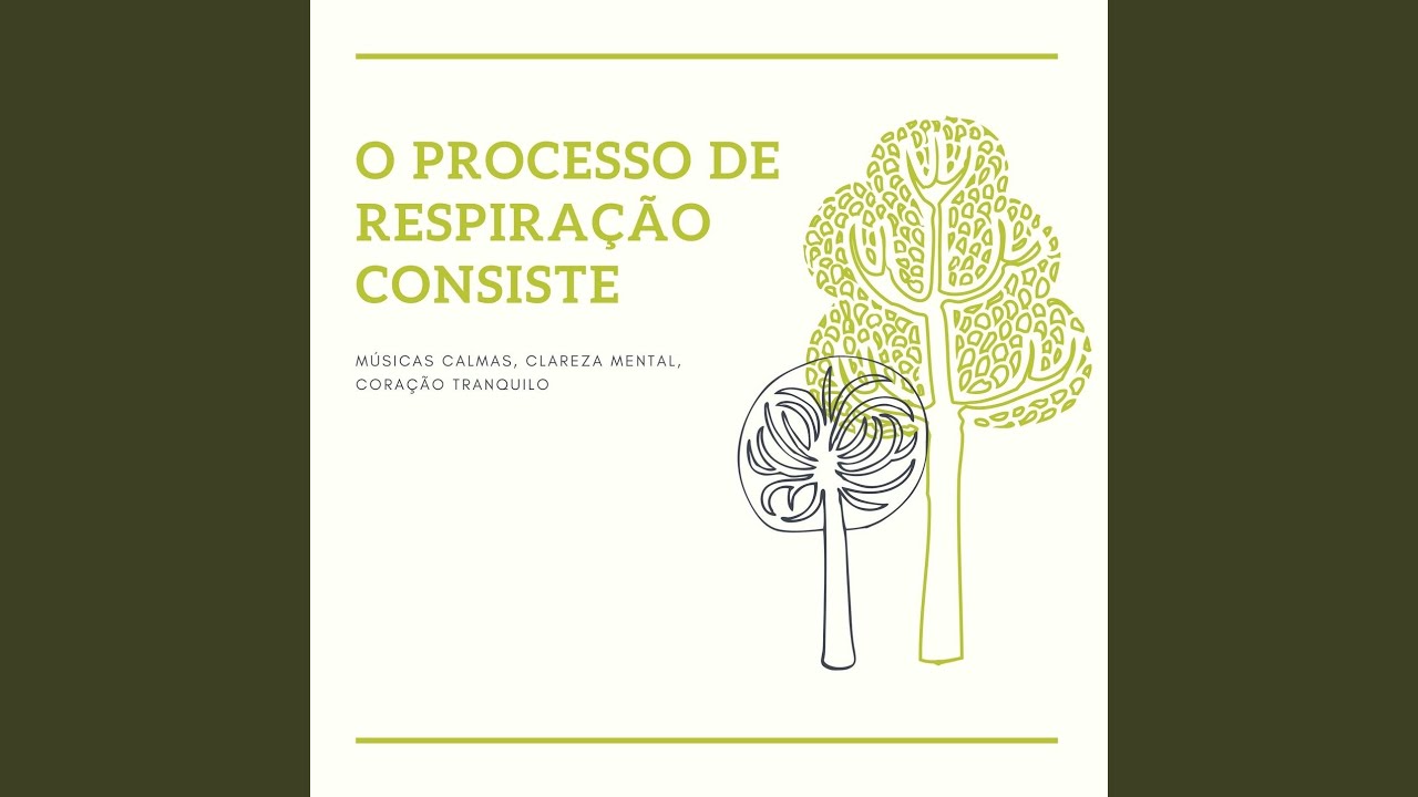 Música Calma, Lenta e Pacífica