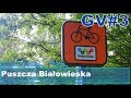 GV#3 Green Velo rowerem. Puszcza Białowieska.