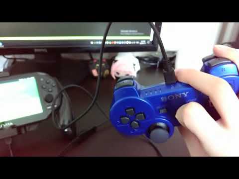 ECCHI PROJECT wired controller with PS Vita