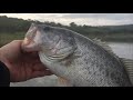 Pescando lobinas en Guanajuato