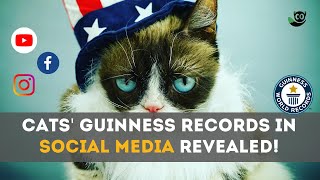 Cat-astrophic Records: Unveiling the Social Media Stardom of Furry Celebrities! by Meow Moments 1 view 4 months ago 3 minutes, 49 seconds