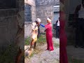 fighting for LOVE😂😂 #funnyvideo #funny #comedy