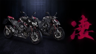 New Kawasaki Z800 & Z1000 Sugomi Edition MY16 - INSTINCT HAS A