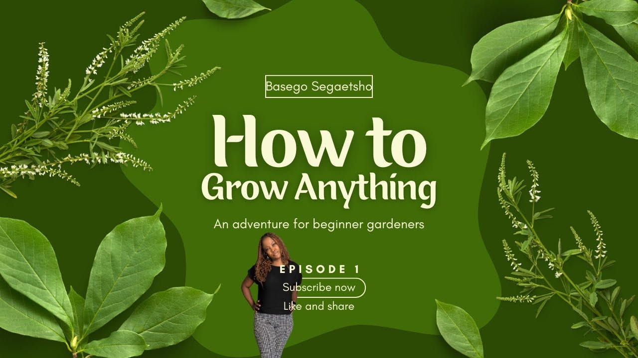 You’ve Never Seen This Side of Me… 🌿 | Garden Tour (First Gardening Video!)