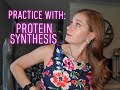 Protein Synthesis and the Role of mRNA in Genetics