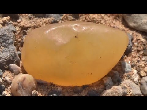 فيديو: حجر أستروفيليت: الوصف ، الوجود في الطبيعة