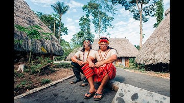 “How the Amazon Masters Sustainable Design: Passive Architecture That Breathes With Nature 🌿”