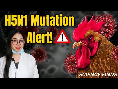 H5N1 Mutation in