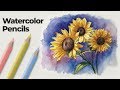 How to Use Watercolor Pencils - Techniques and Demonstration