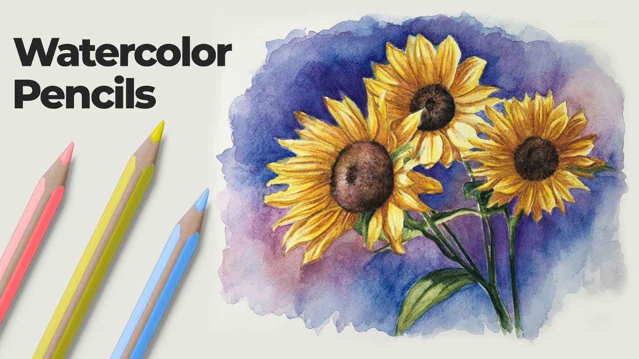 How to Use Watercolor Pencils - Techniques and Demonstration - YouTube