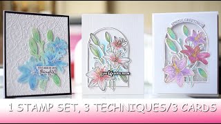 3 techniques, 1 stamp set/Spellbinders Lily Arch/step by step card tutorial/stretch your supplies