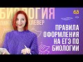 Правила оформления на ЕГЭ по биологии  | БИОЛОГИЯ ЕГЭ | Лина Клевер