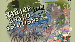 What are Nature-Based Solutions?  Part 2