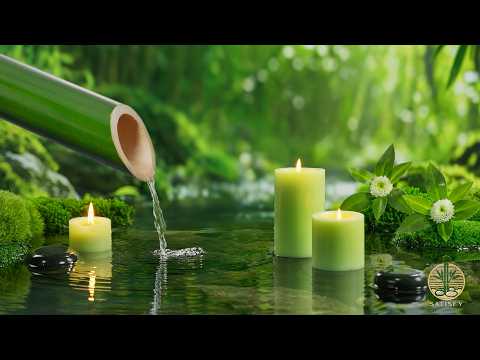 Relaxing Deep Sleep Music ???? Soothing Nature Sounds, Calming Music, Spa and Massage Music, Medita.