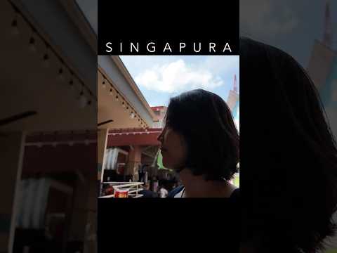 🇸🇬🇰🇷SINGAPURA FINALE | HEARTLAND Epic Moments with a Korean Family