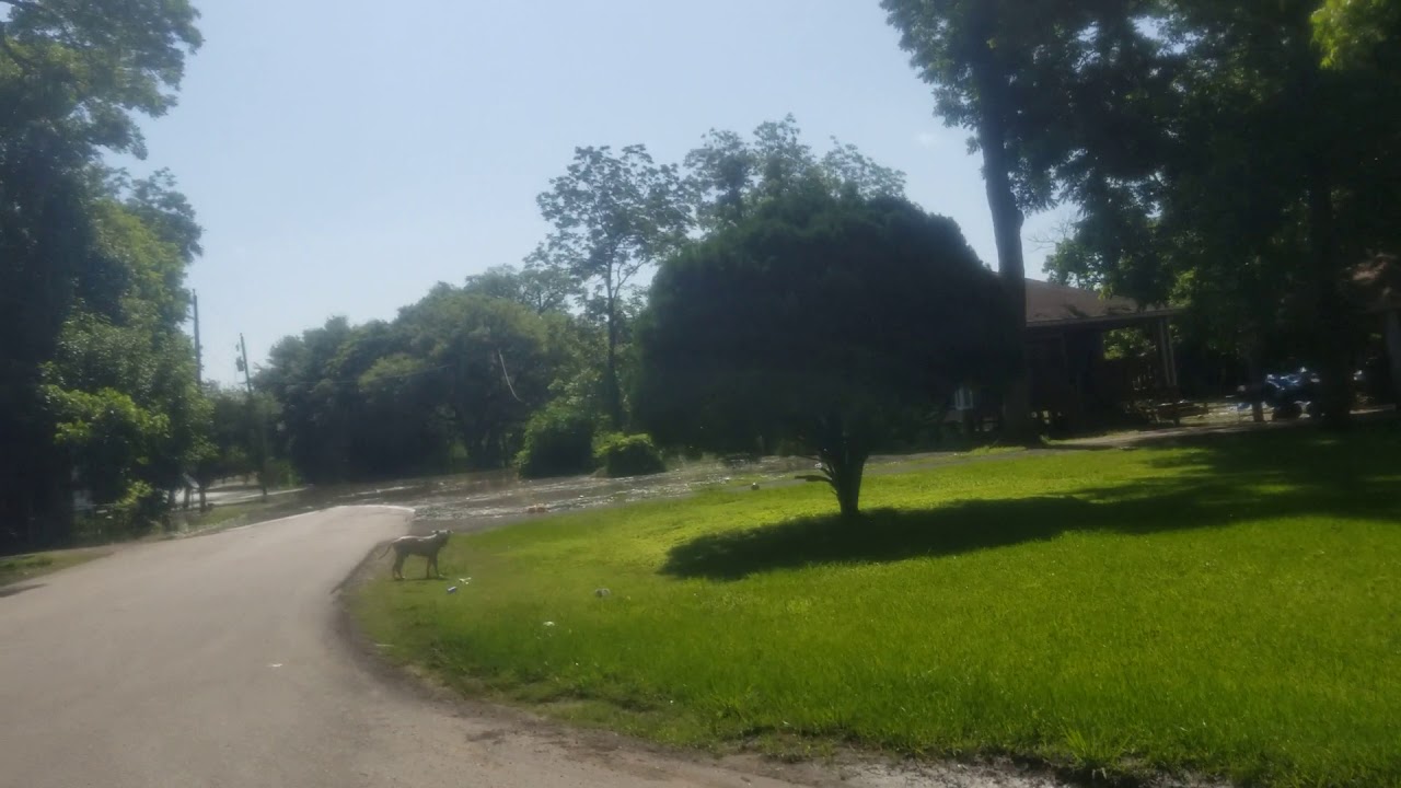 Holiday Lakes Texas May 2019 YouTube