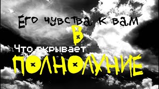 ПОЛНОЛУНИЕ И ЕГО ЧУВСТВА К ТЕБЕ. СМОТРИМ ПОДНОГОТНУЮ. Таро.