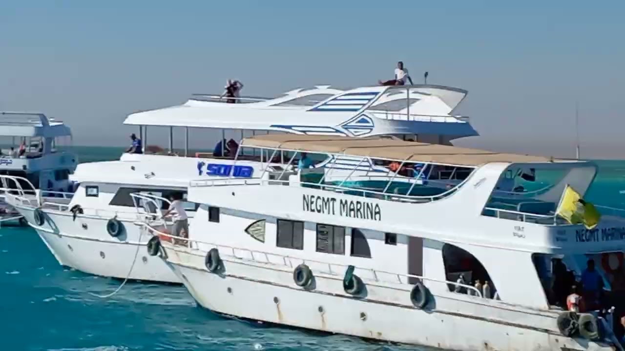 Amazing Red Sea Journey