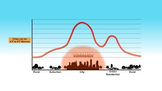 Weather 101: Why do cities feel hotter than more rural areas?