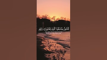 أفمن شرح الله صدره للإسلام فهو على نور من ربه #القرآن_الكريم #سورة_الزمر #محمد_اللحيدان