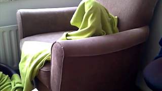 VID-20110314-00004