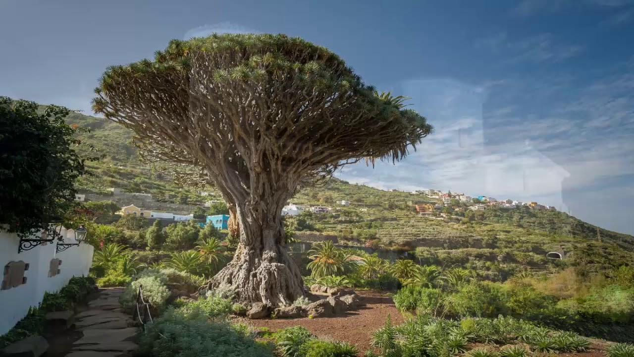 SUSPIROS DE ESPAÑA, Pasión Vega.