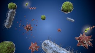Peptides, the solution to drug resistant bacteria?