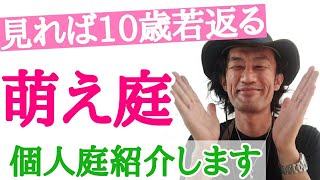 【キュンキュンする庭見せます】個人週末ガーデナーの渡辺さんの「萌え庭」紹介します　初心者からでもここまでできる　オープンガーデン豊橋  【渡辺庭】【個人邸の庭】