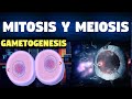 MITOSIS, MEIOSIS Y GAMATOGENESIS EN 4 MINUTOS