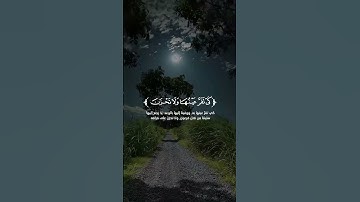🌟القرآن الكريم - نور في ظلمات الحياة 🌟صوت هادئ يريح النفس 😌 #قرآن #المصحف #تلاوة_خاشعة #نور #لايك .