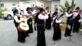 Video for Mariachi nueva Galicia