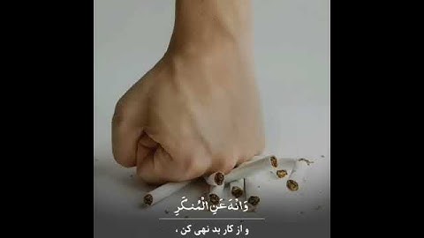 تلاوة رائعة جدآ 🎧♥️, حالات وأتس اب دينية, مقاطع أنستقرام أسلامية, مقاطع دينية قصيرة, قصص أيمو فيس