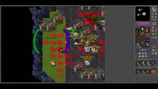 First dragon Tibia - Xantera