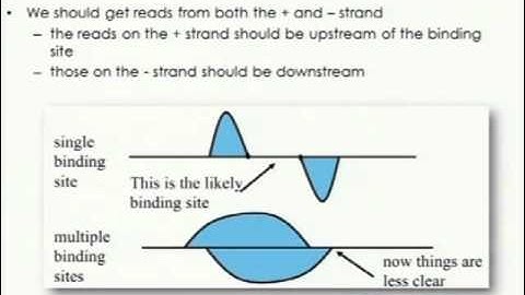 L10-2 ChIP-seq II - NGS lecture series 2011