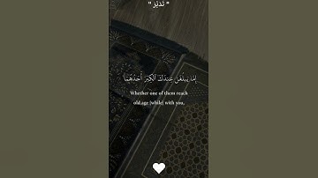 فَلَا تَقُل لَّهُمَآ أُفّٖ | تلاوة جميله للشيخ ياسر الدوسري من سورة الاسراء لبر الوالدين