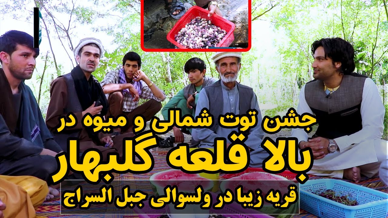 گزارش پاییز پویان از جشن توت شمالی و میوه های شمالی در یکی از قریه های زیبای گلبهار ولایت پروان قشنگ