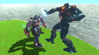 Ads video related
