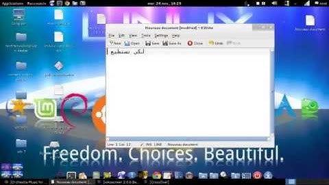 How to install NO IP in kali linux