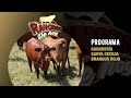 625. Brangus Rojo | Producción de ganado de carne  |Ganadería Santa Cecilia | Güémez, Tamaulipas
