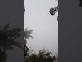 الجو في اسيوط