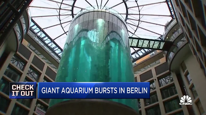 Giant aquarium with nearly 1,500 exotic fish burst...