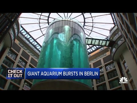 Giant aquarium with nearly 1,500 exotic fish bursts in Berlin