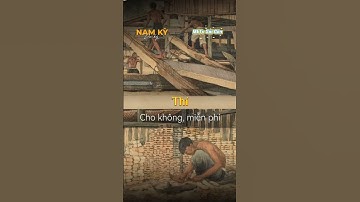 Phần 13 Nam Kỳ Khẩu ngữ "T" #kienthuc  #lichsu #vanhoa