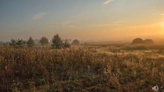 Пейзаж   поэтическая и музыкальная живопись