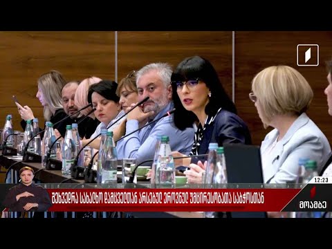 შეხვედრა სახალხო დამცველთან არსებულ ეროვნულ უმცირესობათა საბჭოსთან