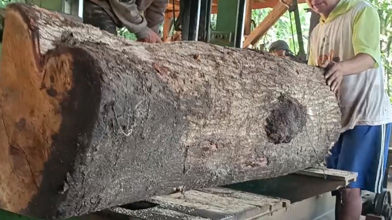 Mystery lump of wood in the sawmill 