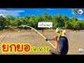 ยกยอ อ่างห้วยบ้าน ►Fishing lifestyle Ep.316