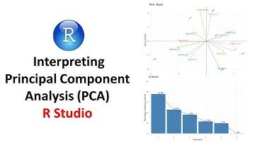 How to Interpret Principal Component Analysis (PCA) Results in R Studio | Data Analysis Explained